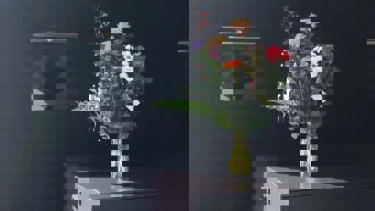 1C3be174 F3d7 4C77 997D 8Cd4e6203906 2